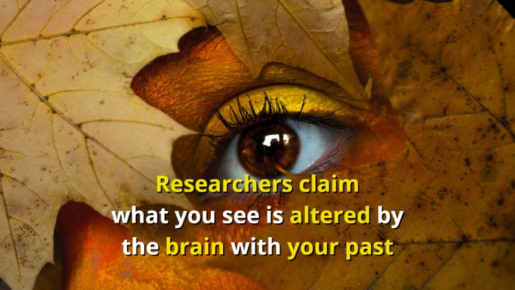 Researchers claim what you see is altered by the brain with your past