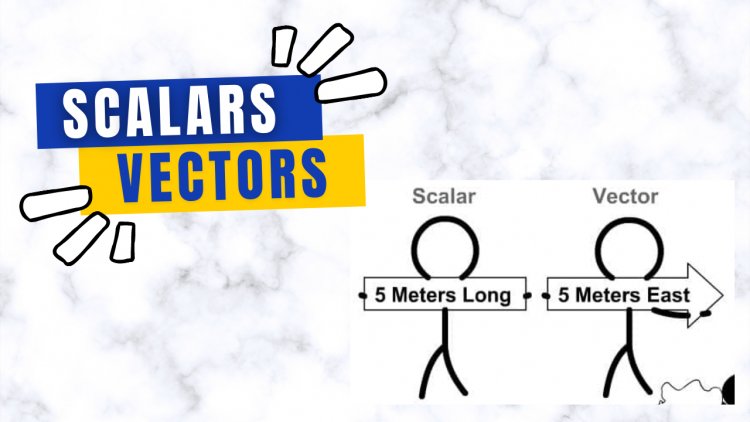 Scalars and Vectors